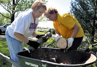 Life in region returning toward the norm